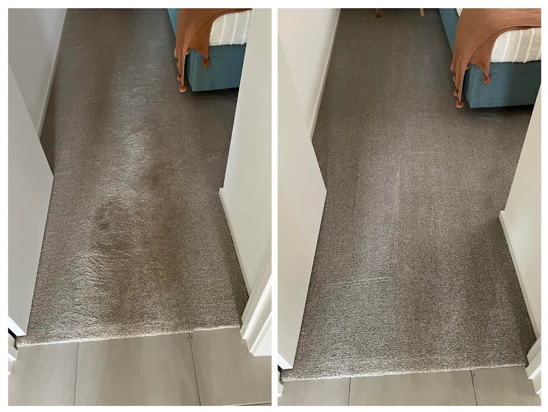 Zig Zag Carpet Cleaning Adelaide carpet cleaning work in Modbury North